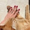 Gel Polish Bordeaux 02 - semi-permanent nail polish color - Thumbnail Image 7